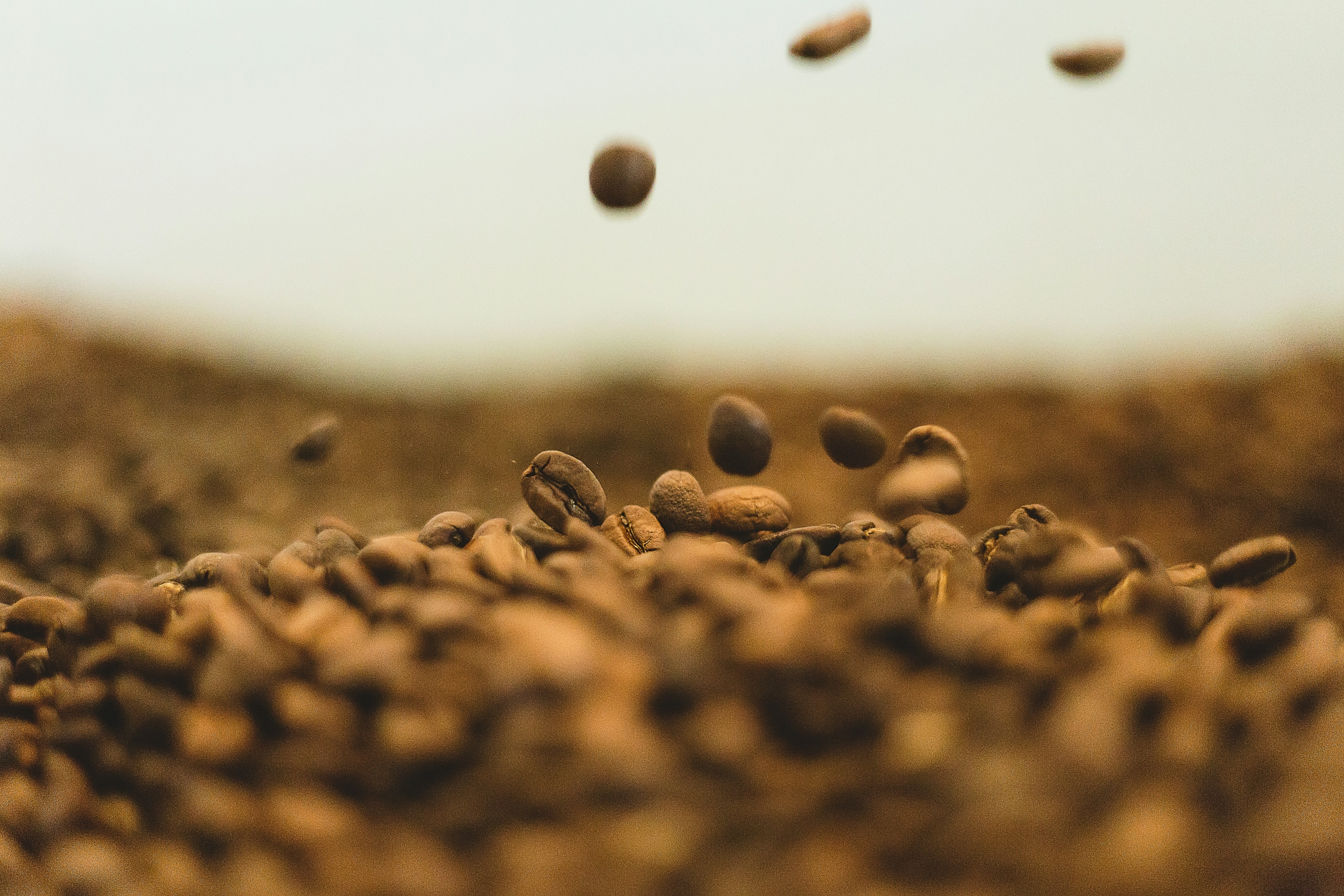 Sustainable Sourcing