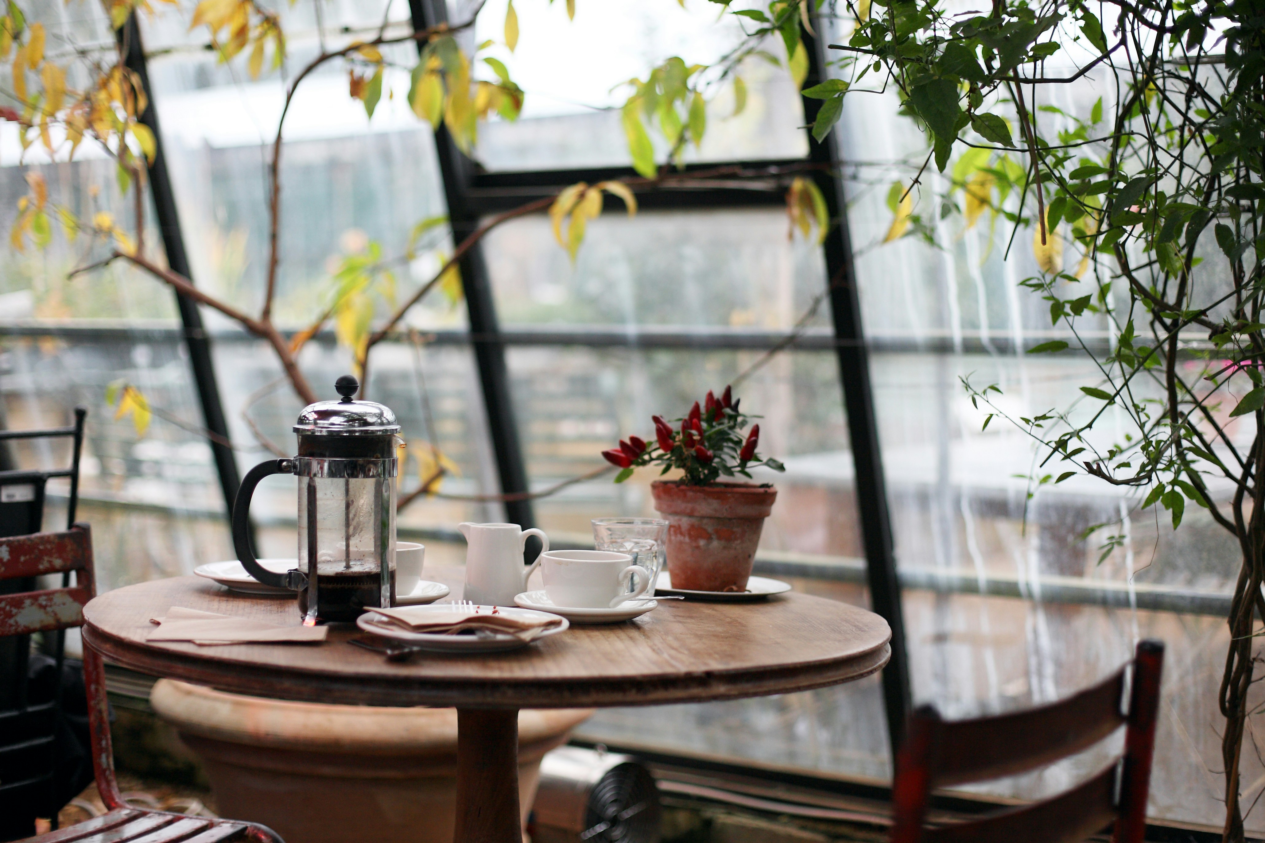 Relaxing Atmosphere